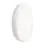 Philips LED Bulkhead CoreLine WL200V White 13W 500lm - 830-840 CCT | 220mm - IP65
